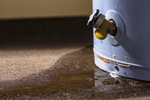 Best Water damage restoration near me  in Eaton, CO