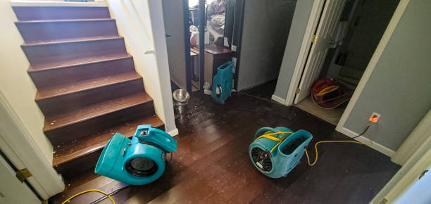 Best 24/7 water damage repair  in Eaton, CO