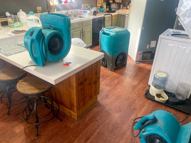  Eaton, CO Water damage restoration Pros