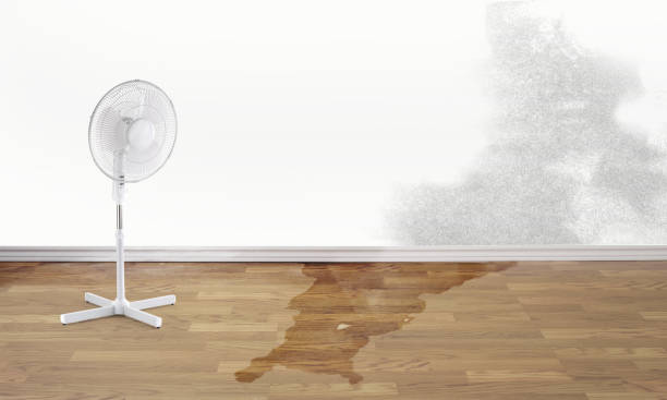 Best Water damage repair service  in Eaton, CO