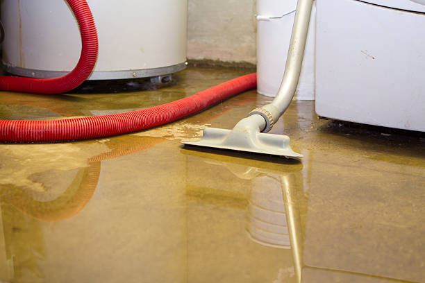 Best Water damage restoration insurance claims  in Eaton, CO