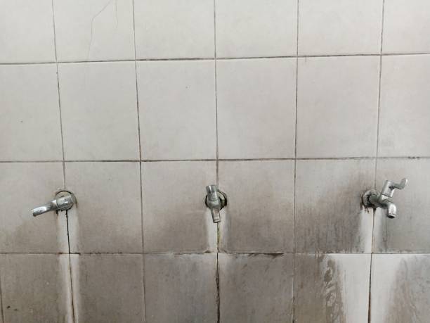 Best Ceiling water damage repair  in Eaton, CO