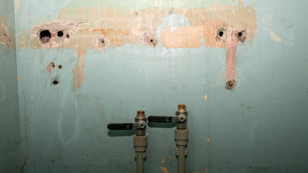 Best Residential water damage restoration  in Eaton, CO