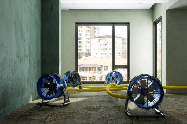 Best Commercial water damage restoration  in Eaton, CO