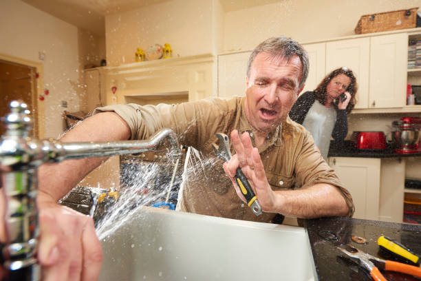Best Flood damage cleanup  in Eaton, CO